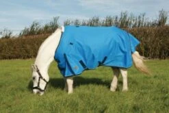 Mark Todd Lightweight Pony Turnout