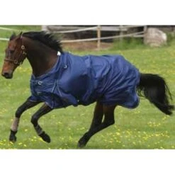 Mark Todd Lightweight Turnout