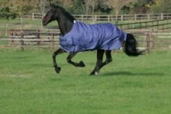 Mark Todd Medium Weight Turnout