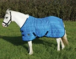 Mark Todd Pony Stable