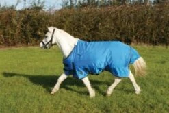 Mark Todd Pony Turnout M/w