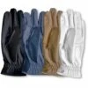 Mark Todd Super Riding Glove 2 Mark Todd Super Riding Glove -Saddle Sale Shop Mark Todd Super Riding Gloves