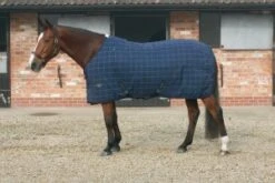 Mark Todd Ultimate Stable