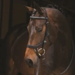 Rambo Micklem Competition Diamante Bridle