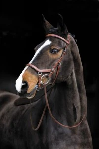 Rambo Micklem Competition Bridle