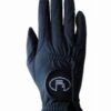 Roeckl Polartec Glove -Saddle Sale Shop Polartec 3301 542 000