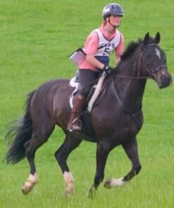 Equilibrium Net Relief Riding Mask Ears