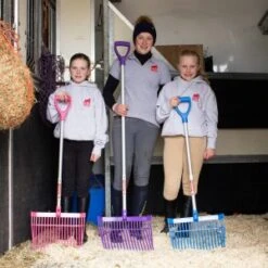 Red Gorilla Short D Handle Bedding Fork