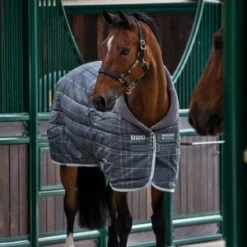 Rhino Original Medium Stable