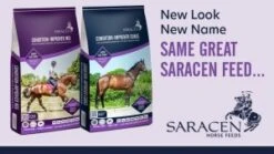 Saracen Condition-improver Mix