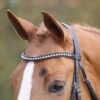 Shires Aviemore Diamante Browband -Saddle Sale Shop Shires Aviemore Diamante Browband