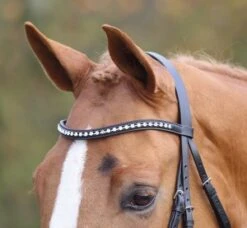 Shires Aviemore Diamante Browband