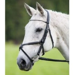 Shires Aviemore Diamante Grackle Bridle