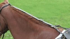 Shires Aviemore Leather Daisy Rein