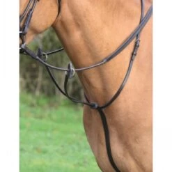 Aviemore Running Martingale
