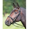 Shires Aviemore Diamante Flash Bridle -Saddle Sale Shop Shires Diamante Flash Bridle