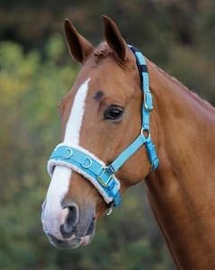 Shires Nylon Lunge Cavesson Fleece Lined