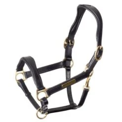 Shires Rapida Cushioned Leather Headcollar