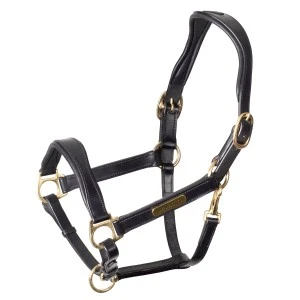 Shires Rapida Cushioned Leather Headcollar 3 Shires Rapida Cushioned Leather Headcollar
