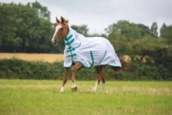 Shires Tempest Original Fly Combo