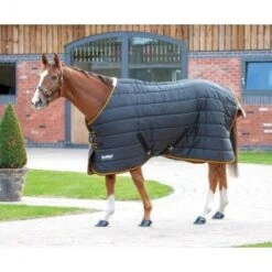 Shires Tempest Original 300g Stable Rug