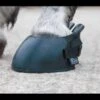 Shires Temporary Shoe Boot -Saddle Sale Shop Shires Temporary Shoe Boot