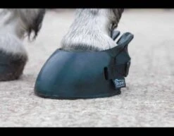 Shires Temporary Shoe Boot