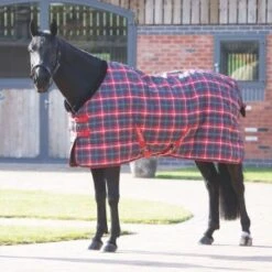 Tempest Plus 200 Stable Rug