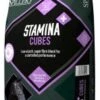 Spillers Stamina Cubes