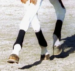 Equilibrium Stretch & Flex