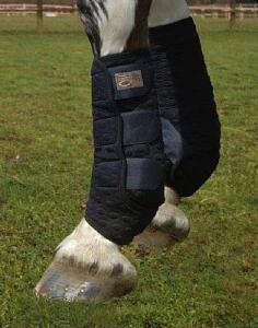 Equilibrium Stretch & Flex Training Wrap