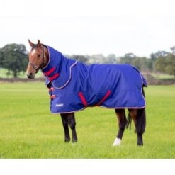 Shires Tempest Original 100g Turnout Rug & Neck Set