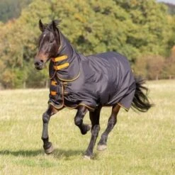 Shires Original Tempest 200 Combo