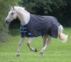 Tempest Original 200 Stable