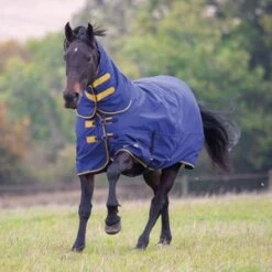 Shires Original Tempest 300 Combo