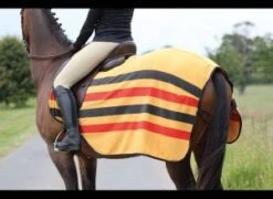 Tempest Original Fleece Exercise Sheet