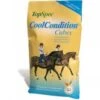 Topspec Cool Conditioning Cubes -Saddle Sale Shop Topspec Cool Cubes
