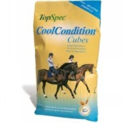 Topspec Cool Conditioning Cubes