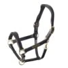 Shires Rapida Comfort Leather Headcollar 1 Shires Rapida Comfort Leather Headcollar -Saddle Sale Shop Velociti Rapida Comfort Headcollar Black