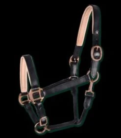 Waldhausen Rose X-line Leather Headcollar
