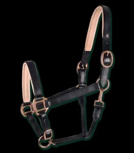 Waldhausen Rose X-line Leather Headcollar 3 Waldhausen Rose X-line Leather Headcollar