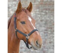 Waldhausen Safety Halter