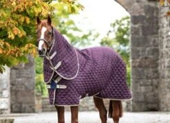 Horsewear Amigo Stable Plus