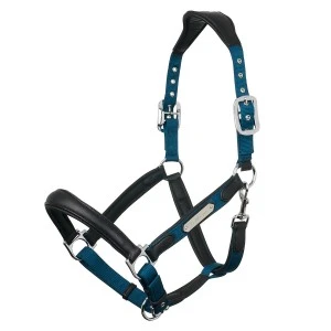 Lemieux Capella Headcollar 3 Lemieux Capella Headcollar