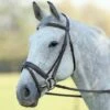 Shires Velociti Gara Comfort Fit Bridle