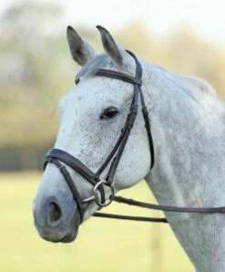 Shires Velociti Gare Comfort Fit Bridle