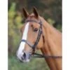 Shires Aviemore Plain Bridle -Saddle Sale Shop shires aviemore plain Bridle