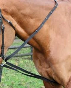 Cotton Web Draw Reins