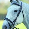Blenheim Stamford Bridle -Saddle Sale Shop stamford black