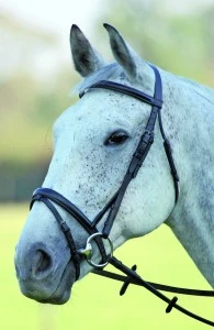 Blenheim Stamford Bridle